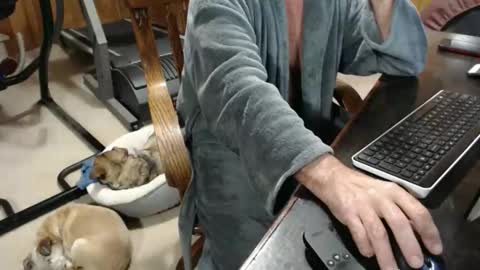 billy471 online show from 19, 11, 2025