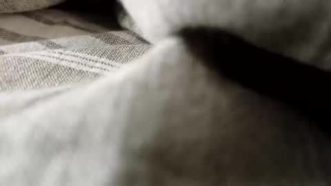 billy7801801010 online show from 20, 2, 2026