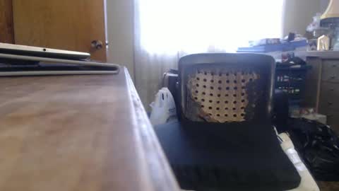 Bimbttm online show from 19, 12, 2024