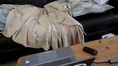 bindmedown online show from 17, 1, 2025