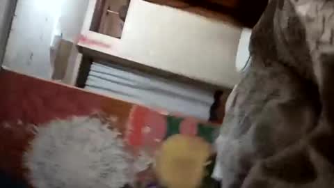 Snapshot of bitchassnig23401rb chatting on 5, 11, 2025 bitchassnig23401rb online show from 5, 11, 2025