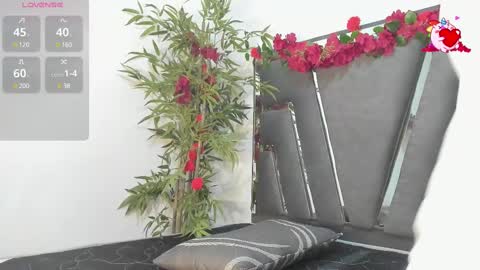 B L A C K  R O S E  online show from 28, 2, 2025