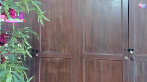 B L A C K  R O S E  online show from 4, 10, 2025