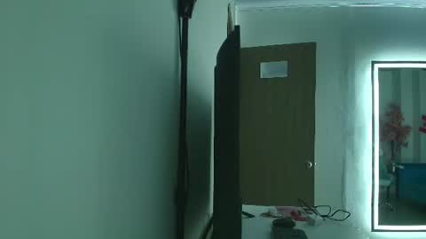 Snapshot of black_roseee chatting on 16, 6, 2026 Rousse online show from 16, 6, 2026