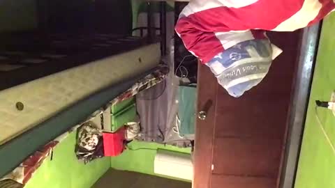 Crystal online show from 20, 2, 2026