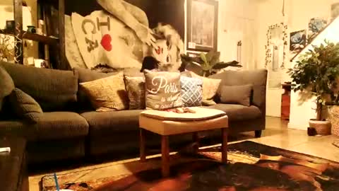 Snapshot of blackriches96 chatting on 14, 2, 2026 blackriches96 online show from 14, 2, 2026