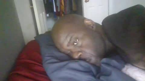 Snapshot of blackteddybear chatting on 19, 1, 2026 blackteddybear online show from 19, 1, 2026