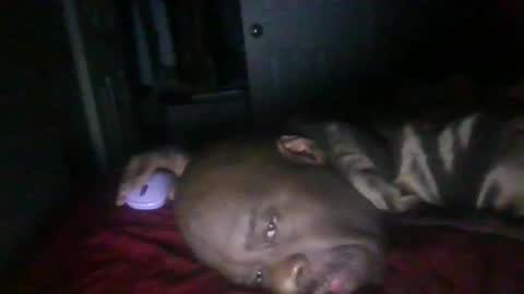 Snapshot of blackteddybear chatting on 21, 2, 2026 blackteddybear online show from 21, 2, 2026