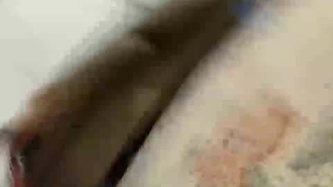 BlakeAndSkylar online show from 22, 5, 2026