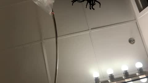 Snapshot of blastt4meee chatting on 7, 1, 2026 blastt4meee online show from 7, 1, 2026