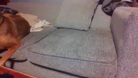 blaw_1321 online show from 14, 4, 2026