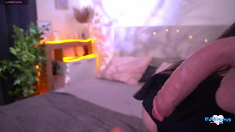 Amy online show from 29, 5, 2026