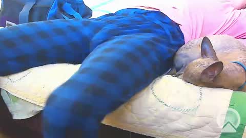 First Time College Boy online show from 13, 2, 2025