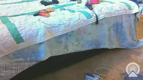 First Time College Boy online show from 20, 2, 2025