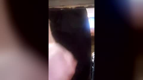 blondiikat7 online show from 25, 6, 2026
