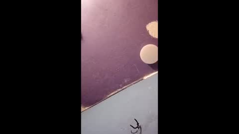 Snapshot of blue17562 chatting on 11, 4, 2026 blue17562 online show from 11, 4, 2026