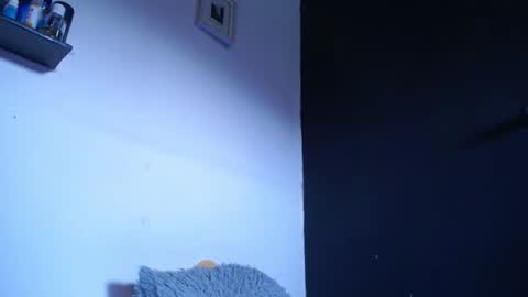 Snapshot of blue_morningstar chatting on 22, 9, 2025 bunbury online show from 22, 9, 2025