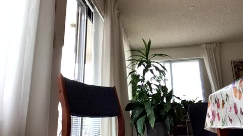 Blueyedudeseattle online show from 21, 9, 2025