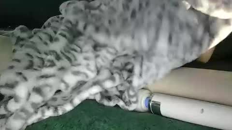 Snapshot of blyss666 chatting on 28, 10, 2025 lyss online show from 28, 10, 2025