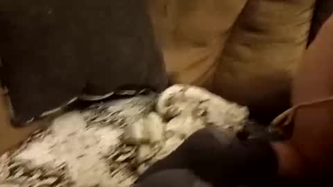 Snapshot of bnaa2m chatting on 28, 9, 2025 Assdrtyasuwant online show from 28, 9, 2025