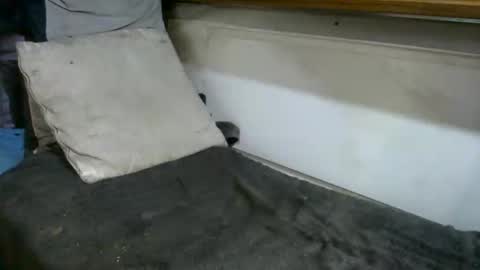 Snapshot of boatfun56 chatting on 12, 2, 2026 boatfun56 online show from 12, 2, 2026