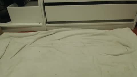 Snapshot of bobbuild chatting on 31, 1, 2026 bobbuild online show from 31, 1, 2026