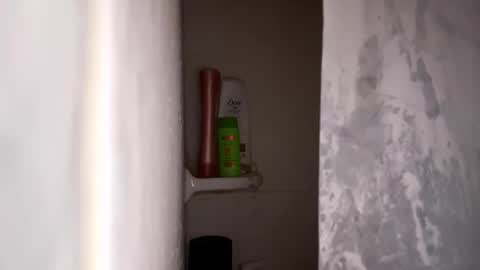 Snapshot of bobfish663 chatting on 31, 1, 2026 bobfish663 online show from 31, 1, 2026