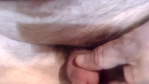 bobswan online show from 26, 12, 2024