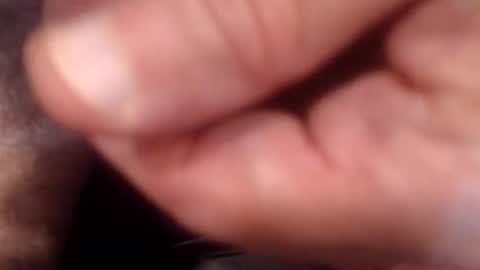 bobswan online show from 9, 9, 2025