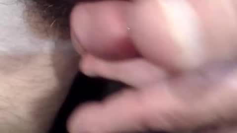 bobswan online show from 15, 4, 2026