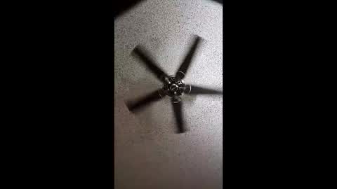 boca34345 online show from 2, 3, 2026