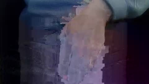 Snapshot of bogus25 chatting on 1, 3, 2026 bogus25 online show from 1, 3, 2026