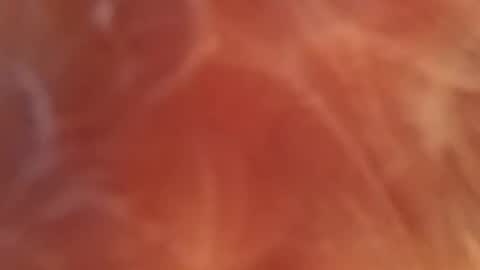 bombelpunk86 online show from 13, 2, 2025