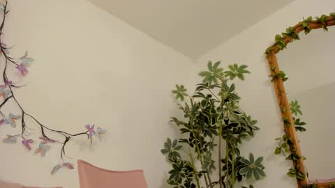   online show from 27, 11, 2025