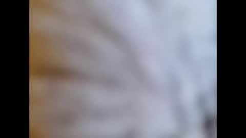 bonop1 online show from 1, 1, 2025