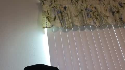Snapshot of boobi2991 chatting on 21, 4, 2026 sissy slut boobi online show from 21, 4, 2026