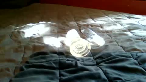 Snapshot of bootsy997 chatting on 22, 9, 2025 Bootsy online show from 22, 9, 2025