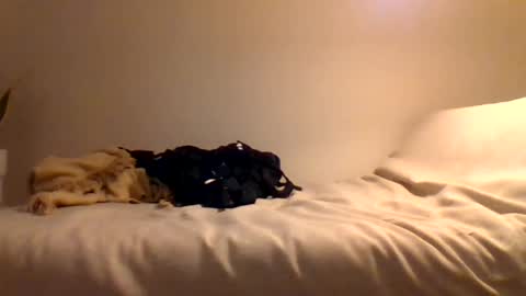 Snapshot of booty4pegging chatting on 3, 3, 2025 booty4pegging online show from 3, 3, 2025