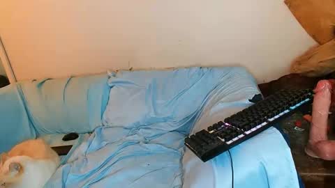 boredandirish21 online show from 4, 10, 2025