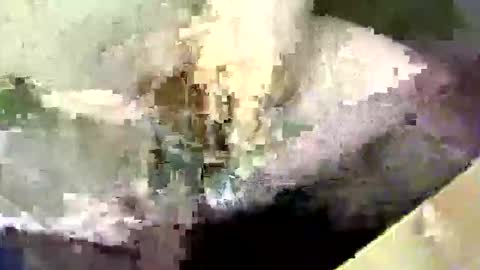 bossram160 online show from 17, 9, 2025