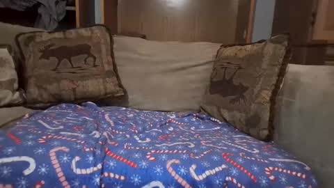 smoothslutfordaddy online show from 12, 2, 2026