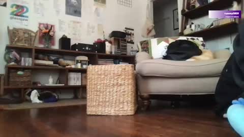 Snapshot of boywithbug chatting on 12, 3, 2025 boywithbug online show from 12, 3, 2025