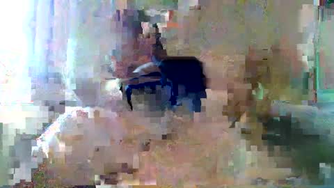 bpbww online show from 19, 9, 2025