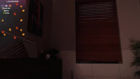 brandon_starkk online show from 23, 2, 2026