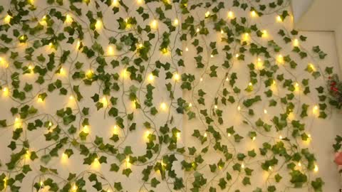 Brenda online show from 5, 1, 2025