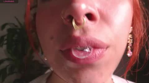 Bri  online show from 27, 2, 2026