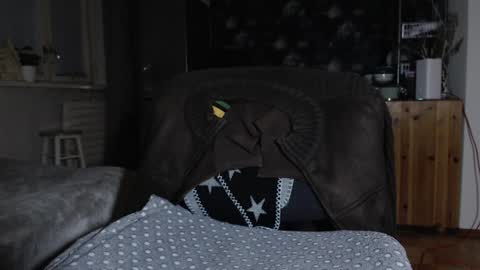 Snapshot of brianmuscle chatting on 19, 12, 2024 Brian online show from 19, 12, 2024