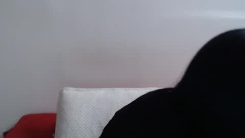 Briaa online show from 4, 11, 2025