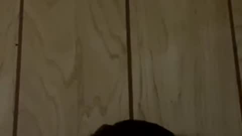 brianrenfro1234 online show from 30, 4, 2026