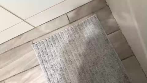 Snapshot of brownboyli chatting on 2, 3, 2026 brownboyli online show from 2, 3, 2026